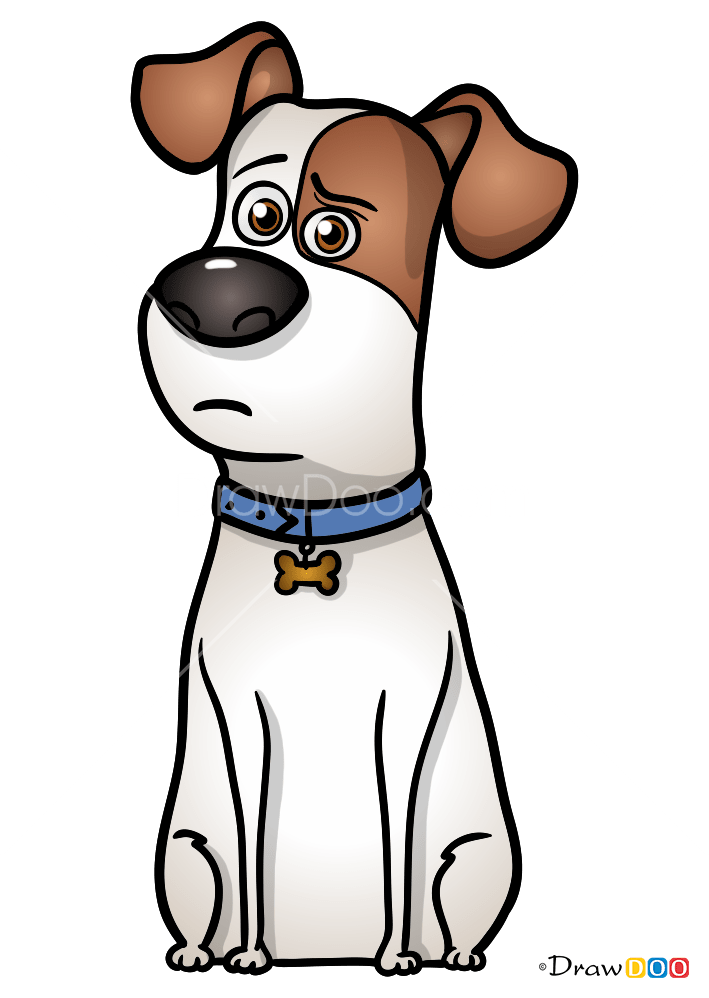 How to Draw Max, Secret Life of Pets